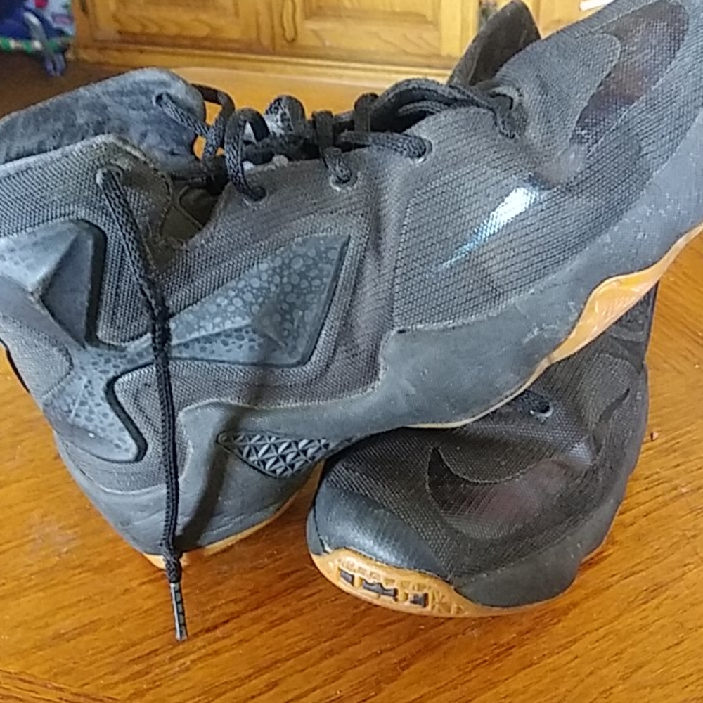 Lebron - Picture 2 of 3